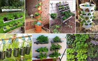 Сад на стене как сделать вертикальные грядки в саду и на балконе